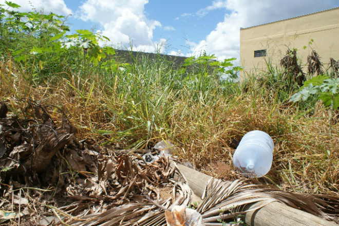 Aumento das chuvas é favorável à proliferação do mosquito da dengue Lixos em terrenos de Três Lagoas
Foto: Assessoria de Comunicação