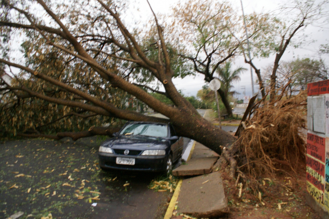 Vendaval do ano passado destelhou casas e vários veículos foram destruidos pela queda de árvores (Foto: Ricardo Ojeda)