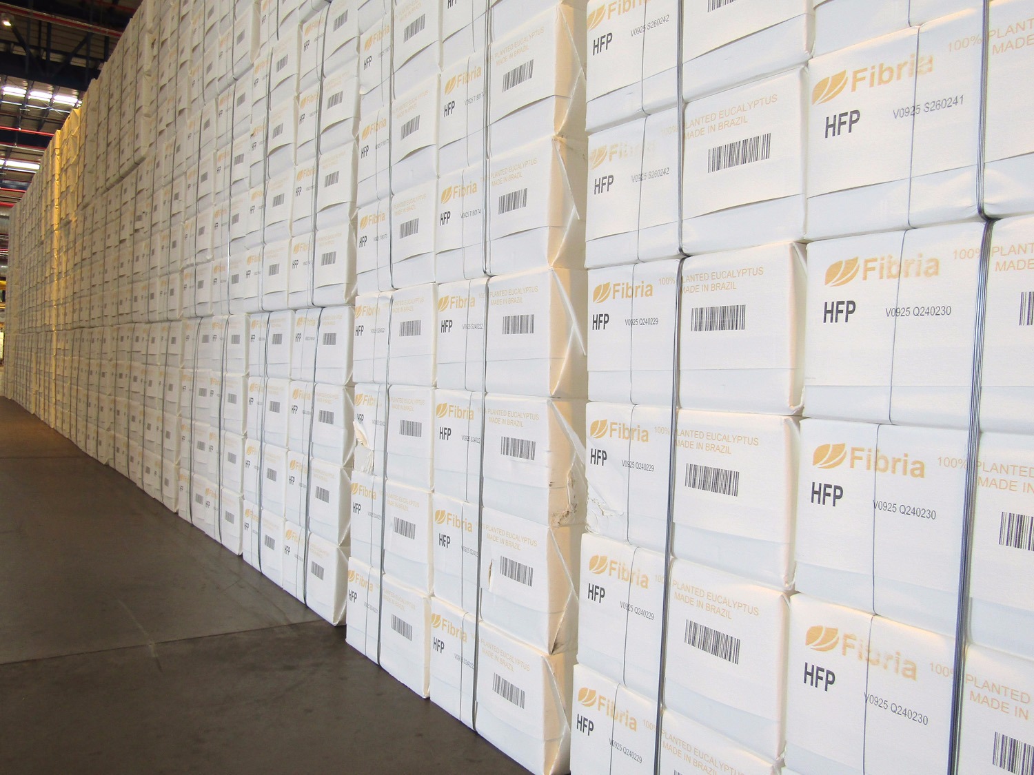 Celulose produzida anualmente pela Fibria é suficiente para dar 10 voltas no planeta Fibria em Três Lagoas (MS) produzirá, anualmente, 3,25 milhões de toneladas de celulose de eucalipto. (Divulgação/ Fibria).
