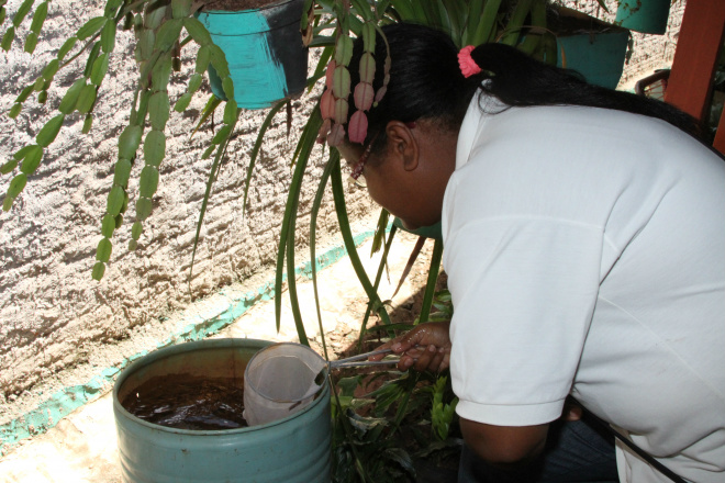 Saúde de Brasilândia trabalha para prevenir dengue Agente de Endemias procura na residência possíveis focos de dengue. Foto: Divulgação/Assessoria