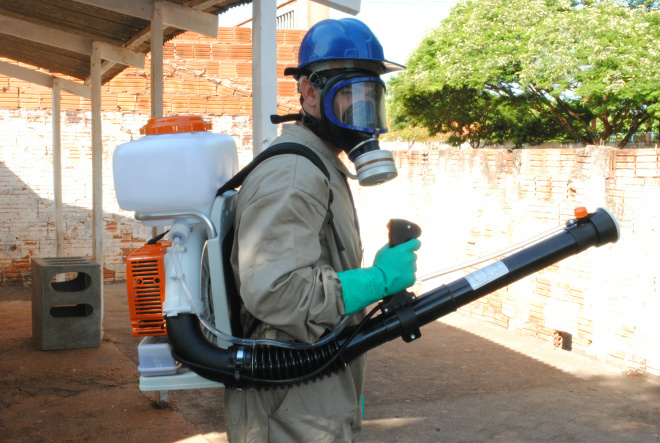 Chuvas e temperaturas altas pode colaborar com a proliferação do mosquito da dengue
Foto: Arquivo/Perfil News