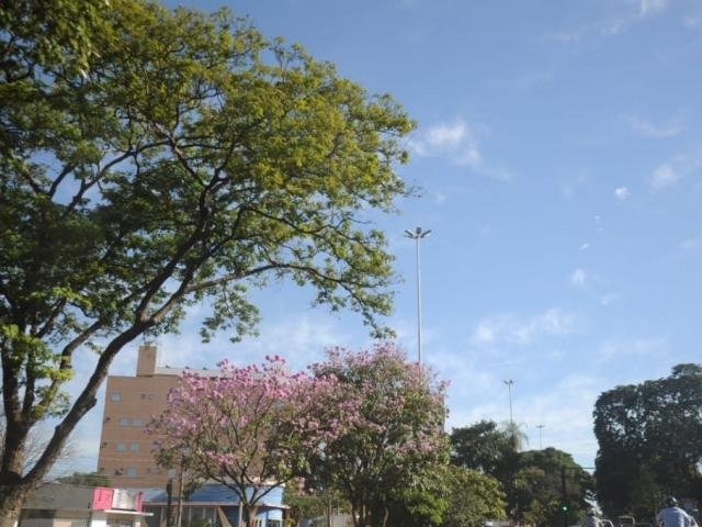 Céu claro com poucas nuvens na tarde desta sexta-feira em Campo Grande (Foto: Paulo Francis)