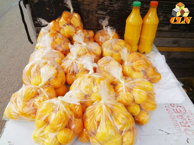 Pequi ganha espaço e admiradores em Aparecida do Taboado Pequi ganha espaço e admiradores em Aparecida do Taboado