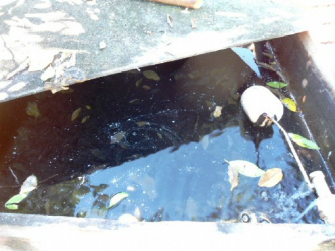 Campo Grande registra 700 suspeitas de dengue por dia Nove cidades sul-mato-grossenses contabilizam mais de 300 casos para cada 100 mil habitantes (Foto: Arquivo)