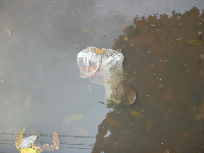 Faltam locais para escoar a água em Três Lagoas Diarréias, dengue, entre outras doenças podem ser ocasionadas com a água parada