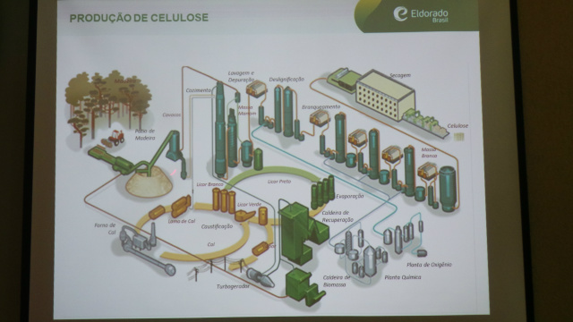 Em 40 meses de atividades, Eldorado atinge marca mundial de produção de celulose Em 40 meses de atividades, Eldorado atinge marca mundial de produção de celulose