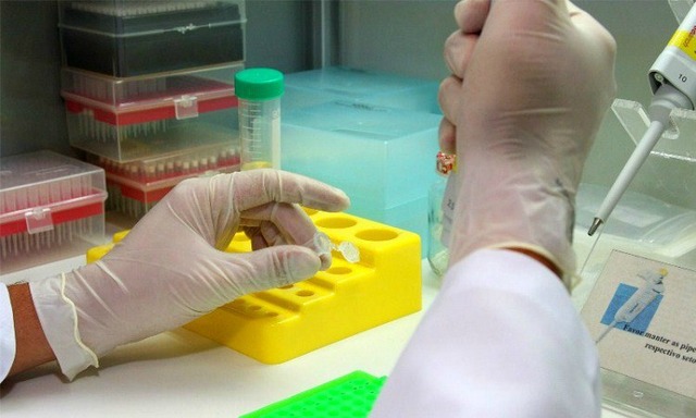 Saúde de Três Lagoas desde abril possui testes rápidos de diagnóstico da dengue Diagnóstico precoce da doença, sem dispensar exame sorológico, é fundamental para início do adequado e imediato tratamento (Foto/Assessoria)