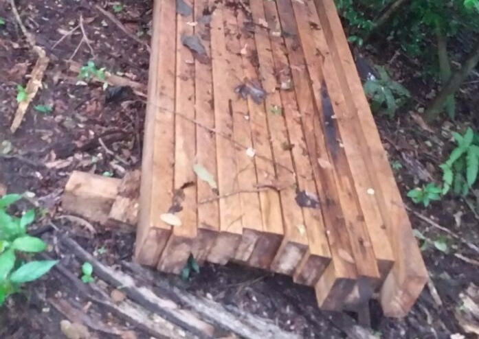 PMA autua dono de chácara em R$ 5 mil por exploração de madeira na área protegida de reserva legal. (Foto: Assessoria)
