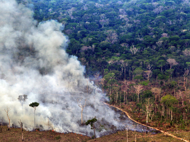 Amazônia perde em outubro área igual a 240 'Ibirapueras', diz Inpe Desmatamento e queimada registrados no Sul do estado do Amazonas. Sistema de medição do Inpe detectou devastação de 385 km² em outubro de 2011. Já o estado foi resposável por derrubar cerca de 19 km² de floresta (Foto: Divulgação/Greenpeace/Marizilda Cruppe/EVE )