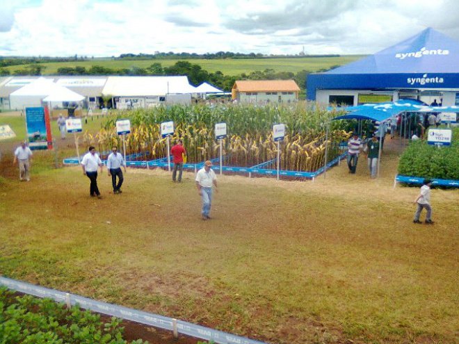Produtores rurais de Brasilândia participam do Showtec Participantes conheceram os últimos avanços tecnológicos na produção rural
Foto: Assessoria de Comunicação