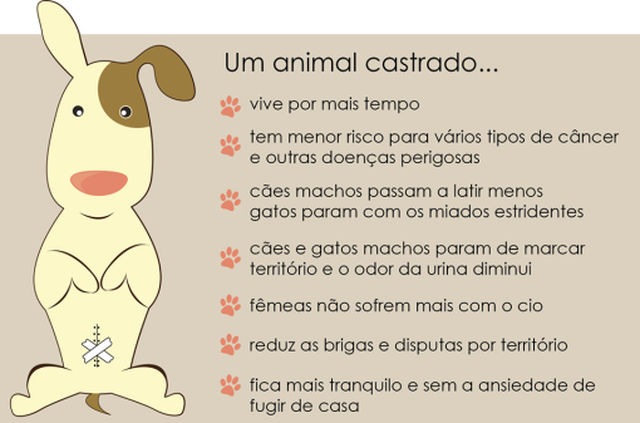 Vantagens da castração em cães e gatos. Reprodução: blog Minhas Patinhas