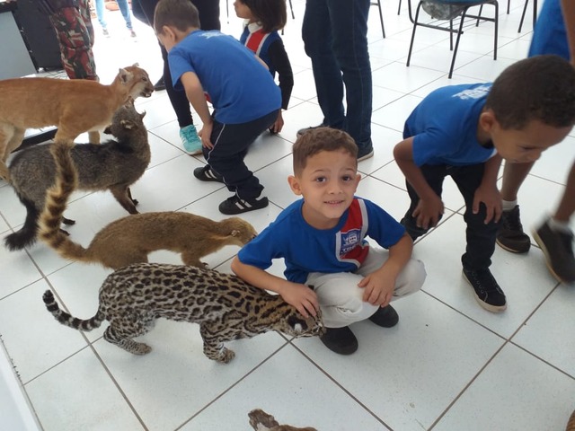 Polícia Militar Ambiental de Três Lagoas realiza Educação Ambiental para 50 alunos de escola pública da cidade Crianças visitaram o museu de animais taxidermizados (empalhados). Foto: Divulgação