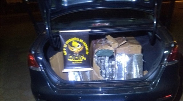 Veículo com quase 100 kg de droga que seguia para São Paulo foi apreendido pelo DOF em Brasilândia Foto:Assessoria