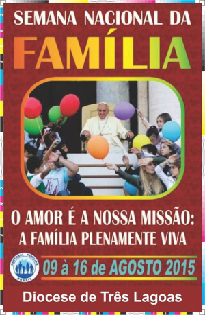 De acordo com a Conferência Nacional dos Bispos do Brasil (CNBB), o mesmo tema também será discutido no 8° Encontro Mundial das Famílias com o Papa. (Foto: Assessoria)