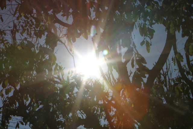 Nas primeiras horas do dia, o sol foi predominante e as temperaturas chegaram à 18°C. (Foto: Patrícia Miranda)