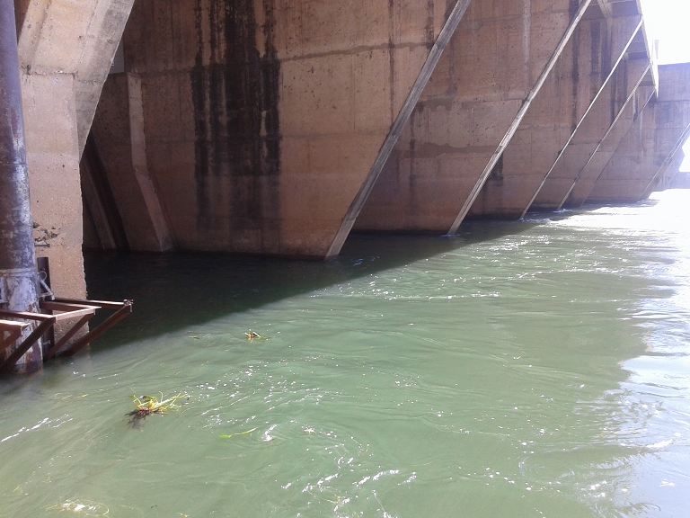 Tal petrecho consiste em uma linha, com uma pequena rede amarrada à ponta. (Foto: Assessoria)