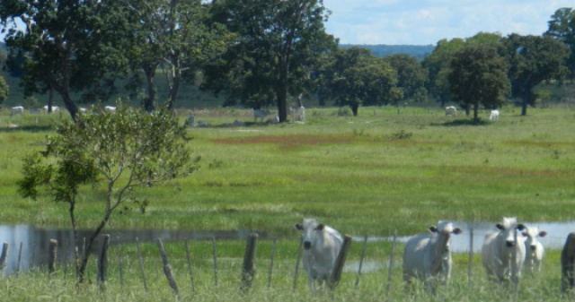 Prazo para fazer o cadastro rural termina nesta quinta-feira finalidade integrar as informações ambientais referentes à situação das Áreas de Preservação Permanente (APP).(Foto: Senar).