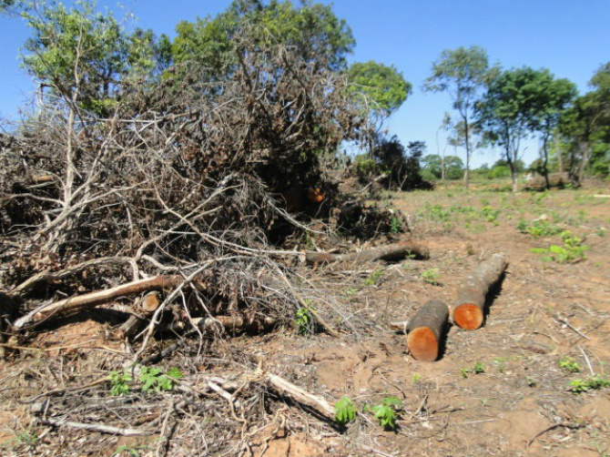 PMA autua três assentados em R$ 4,5 mil por infrações ambientais e prende um foragido da justiça. (Foto: Assessoria)