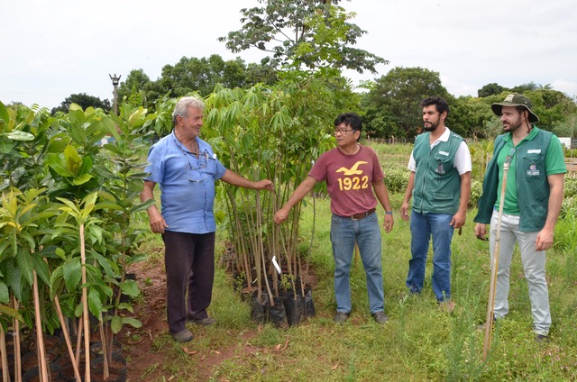 Além do recebimento dessas novas mudas e do plantio de outras diversas espécies do Cerrado  (Foto/Assessoria)