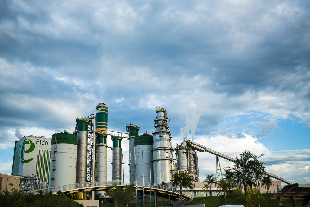 Eldorado anuncia investimento de R$ 300 milhões em térmica a partir de biomassa Produção de biomassa a partir de tocos e raízes de eucaliptos representa inovação importante no setor. (Foto: Assessoria)