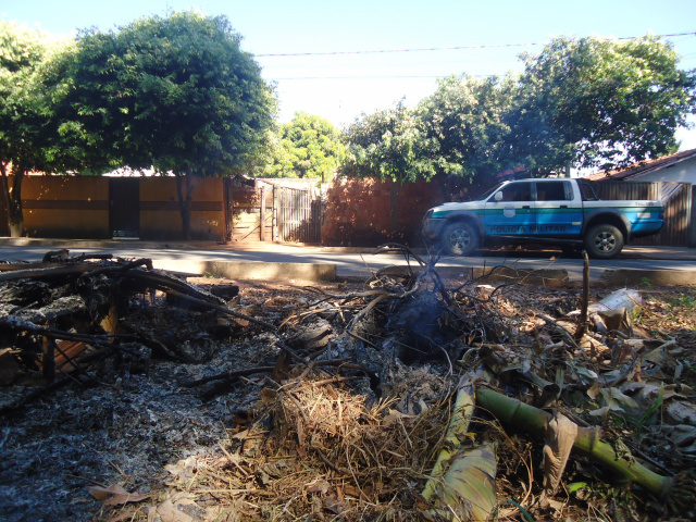 O morador próximo ao terreno baldio realizava uma 