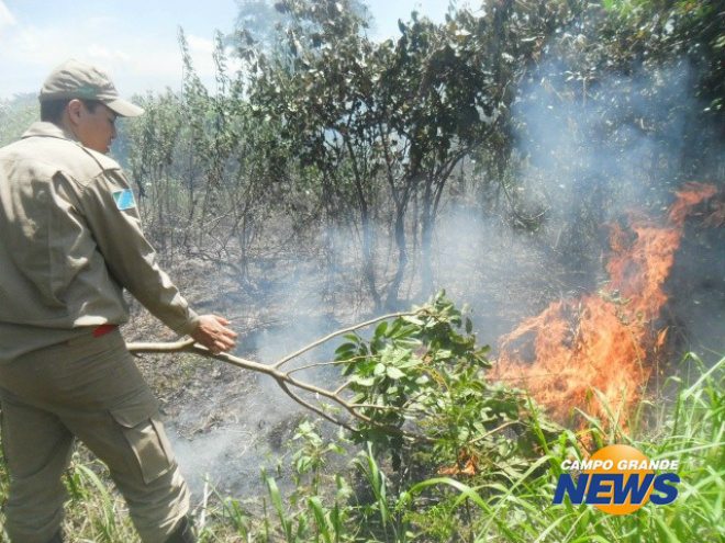 Bombeiros voltam ao local na manhã deste sábado para combater fogo.
Foto: Divulgação