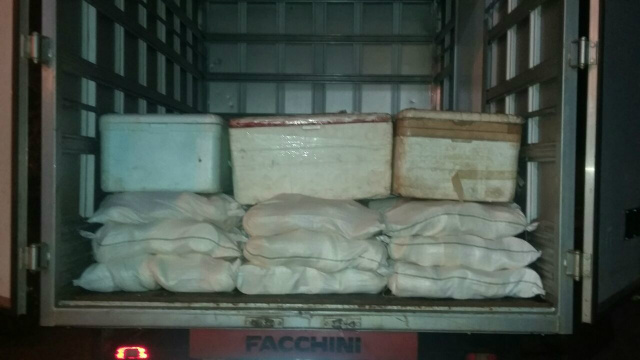 PRF apreende em Três Lagoas mais de 1 tonelada de queijo caipira A carga estava sendo transportada sem nenhuma refrigeração. (Foto: Assessoria)