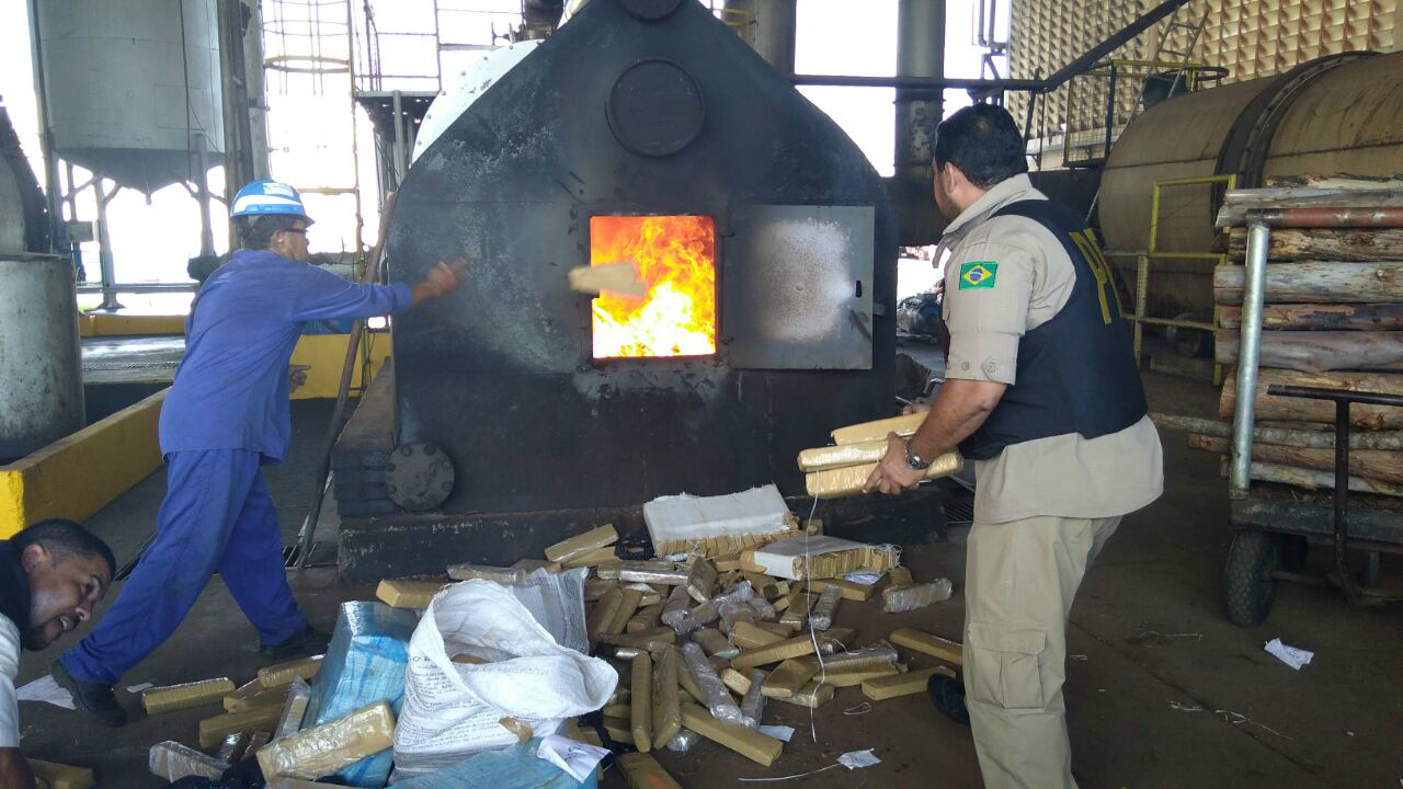 A incineração, coordenada pela Delegacia de Policia Civil de Bataguassu, aconteceu em uma das caldeiras de um frigorífico local (Foto/Assessoria)
