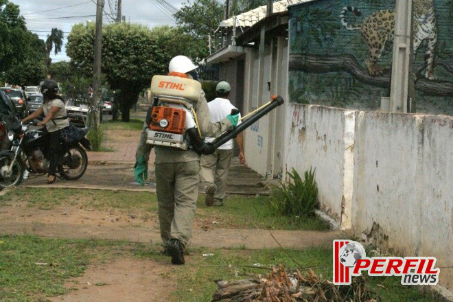 Tralhadores no combate ao mosquito Aedes Aegypti transmissor da doença
Foto: Divulgação 