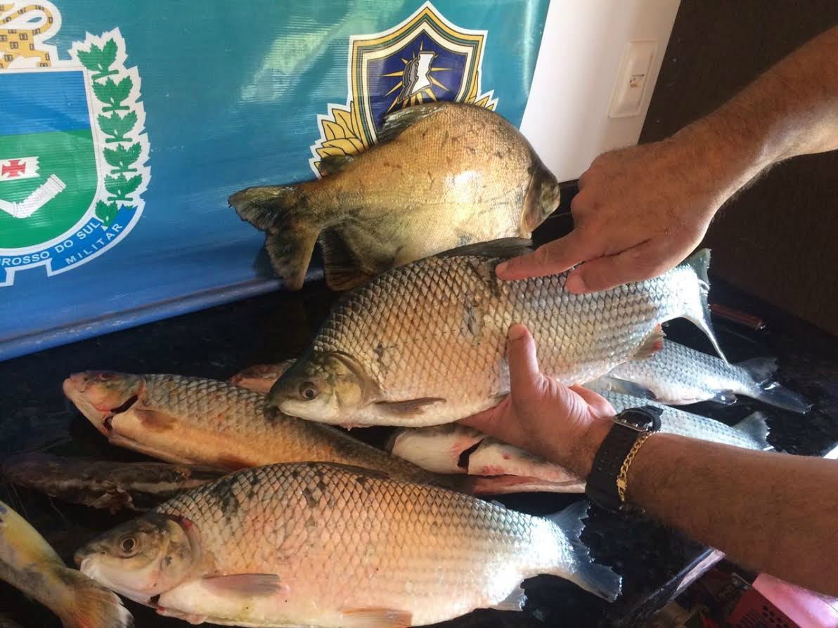 14 kg de pescado das espécies Pacu, Jurupensém, Curimbatá, Palmito, Piau e Piapara (Foto/Assessoria)