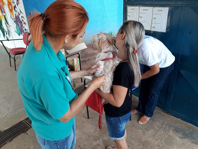 Até agora já foram imunizados 4.422 cães e 623 gatos, totalizando mais de 5 mil animais domésticos. (Foto: Secom Três Lagoas)
