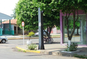 Além da falta de sinalização, folhagens das árvores impendem a visão de semáforos (Foto: Arquivo/Perfil News)