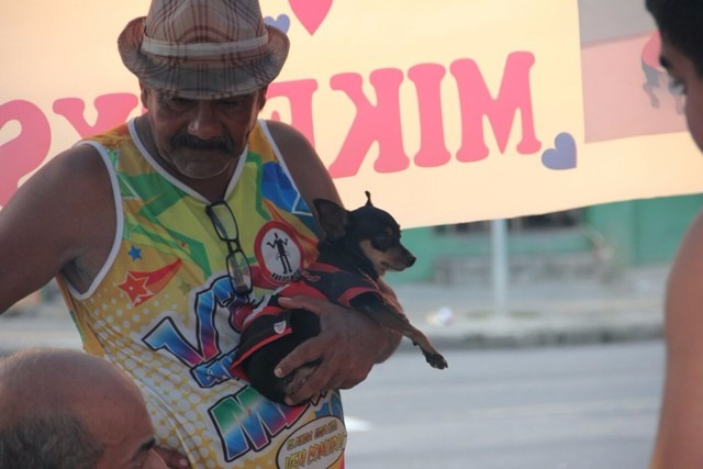 Com bebida liberada, dono fecha bar para festa de aniversário de cachorro Rui Barbosa e o pischer Mike Tyson durante a festa (Foto: Arquivo Pessoal)
