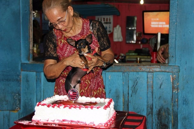 Com bebida liberada, dono fecha bar para festa de aniversário de cachorro Dono diz que Mike é