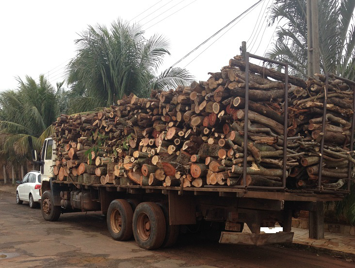 PMA apreende caminhão com 21 m³ de madeira ilegal e autua infrator em 12,3 mil. (Foto: Assessoria)