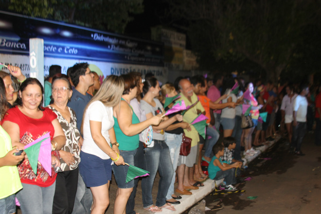 Público compareceu na avenida e ficou até a última escola desfilar (Foto: Ricardo Ojeda)