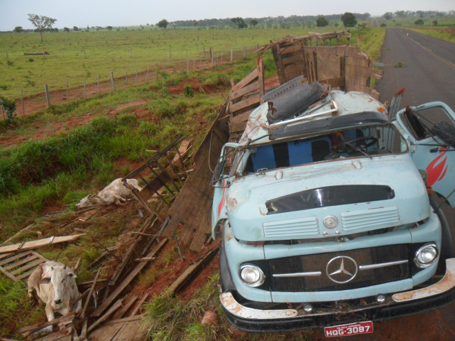 Caminhão teve a carroceria destruída, enquanto duas reses tiveram que ser sacrificadas no local (Foto: Tiago Apolinário/Perfil News) 