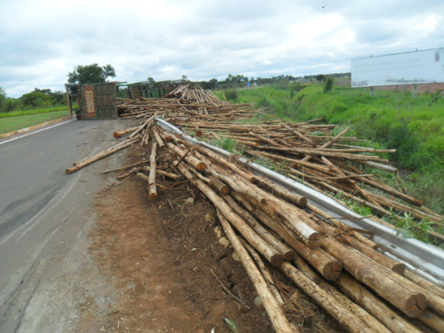 A carga de eucalipto ficou espalhada pela rodovia, após o tombamento da carreta. (Foto: Perfil News)