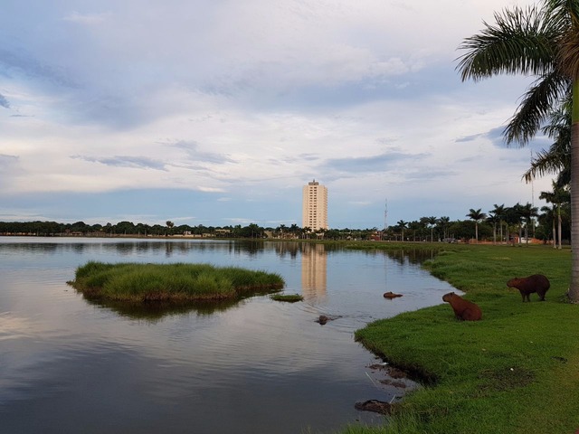 No céu durante o período da manhã o sol prevaleceu. (Foto: Ricardo Ojeda)