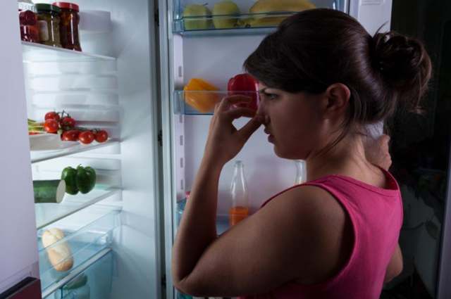 As geladeiras são locais onde há alimentos que são mais propícios para que estraguem com o tempo. (Foto: Assessoria)