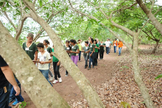 Durante a trilha, estudantes aprendem sobre espécias da flora nativa (Foto: Divulgação)