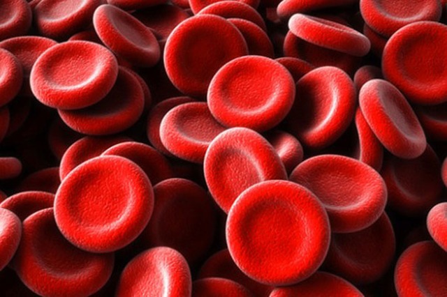 Cientistas convertem sangue tipo A em tipo O - que é doador universal Foto ilustrativa