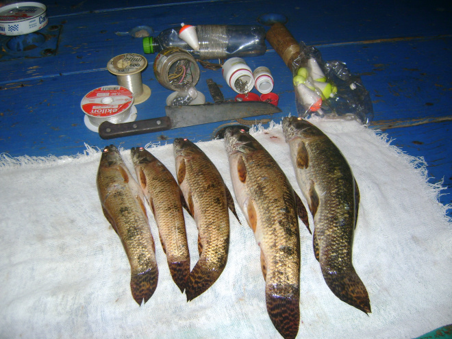 Apetrechos e pescados que foram pegos junto com o pescador
Foto: PMA