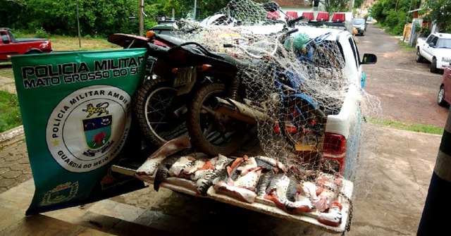 PMA inicia amanhã operação Corpus Christi com foco na prevenção e repressão à pesca predatória Divulgação
