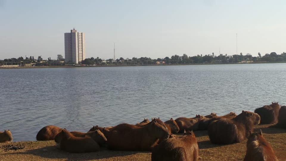 Meteorologia prevê terça-feira quente em Três Lagoas Meteorologia prevê terça-feira quente em Três Lagoas. (Foto: Perfil News).