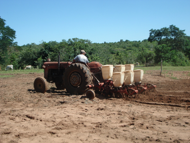 Milho com ciclo mais curto terá áreas de plantio em Três Lagoas
Foto: Assessoria de Comunicação