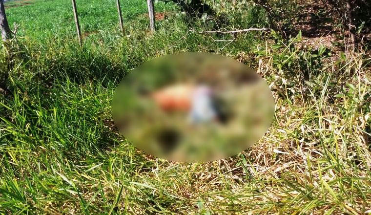 Homem é encontrado morto com golpes de faca entre Bataguassu e Brasilândia Foto: Da Hora Bataguassu