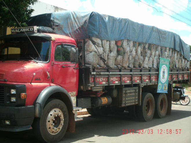 Caminhão com carga ilegal de carvão é apreendido pela PMA de Batayporã
Foto: Assessoria de Comunicação