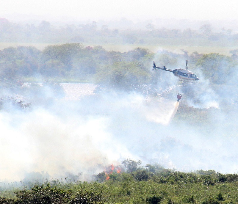 Focos de incêndio em MS somam mais de 2,2 mil ocorrências Focos de incêndio no Pantanal de Corumbá - Foto: Arquivo Correio do Estado