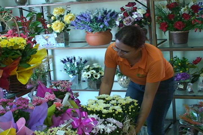 Milhares de flores foram vendidas em Três Lagoas
Foto: Maycon Almeida 